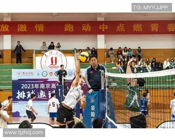 南京排球队的个人能力揭秘与训练之道探讨