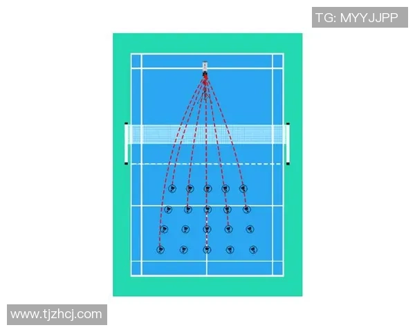 科学羽毛球训练方法探究与实践提升运动表现的有效策略