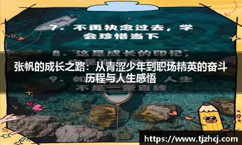 张帆的成长之路：从青涩少年到职场精英的奋斗历程与人生感悟