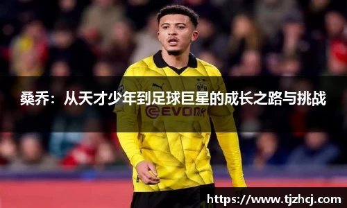 桑乔：从天才少年到足球巨星的成长之路与挑战